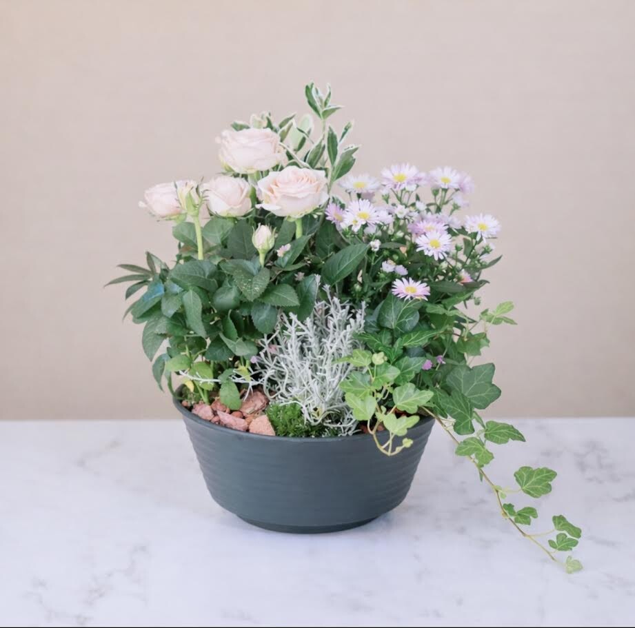 Coupe de plantes 2 Pastel (photo non contractuelle)