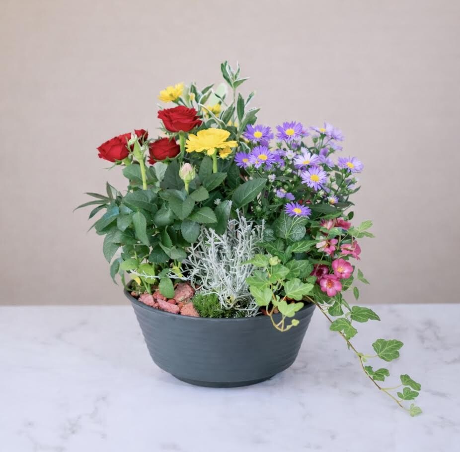 Coupe de plantes 2 Colorée (photo non contractuelle)