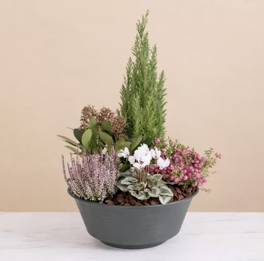 Coupe de plantes 1 Pastel (photo non contractuelle)