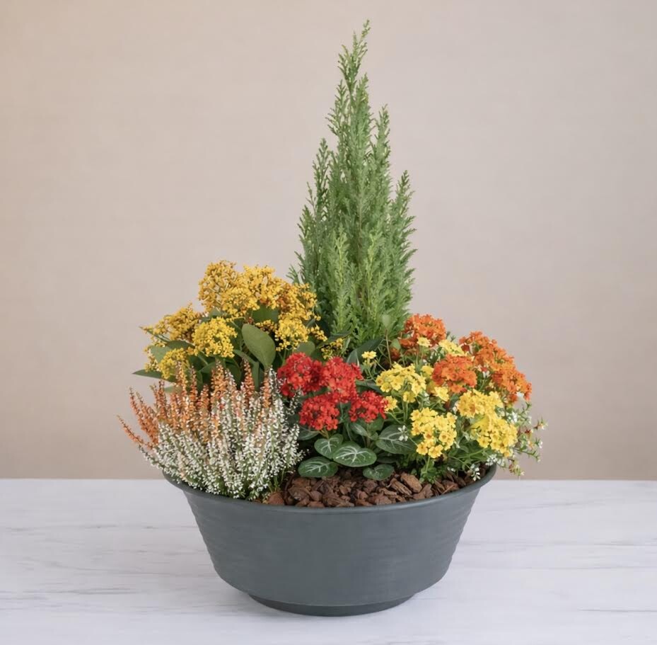 Coupe de plantes 1 Colorée (photo non contractuelle)