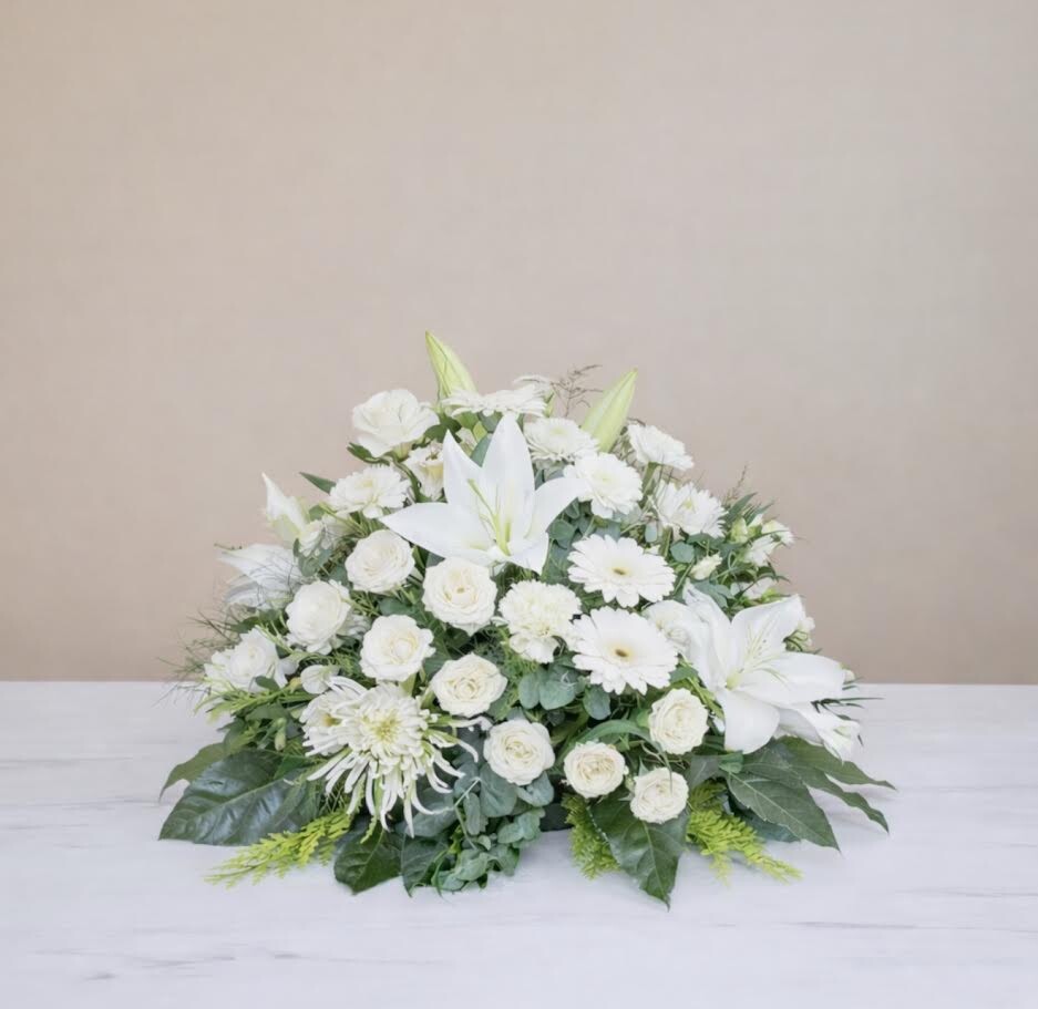 Coussin Blanche (photo non contractuelle)